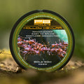 PB Products Hollow Kevlar leader, 80 lb 50 m in Weed