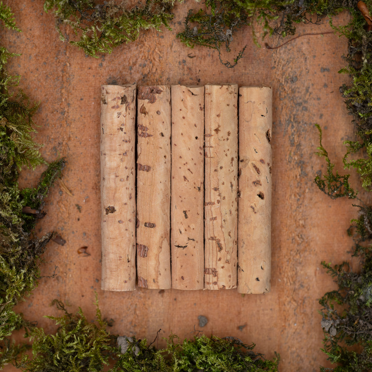 PB Products cork sticks refill 65 mm, 8 mm