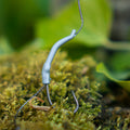 PB Products Downforce Tungsten Short Shank aligners in Weed