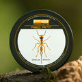 PB Products Red Ant snag leader, 35 lb 80 m