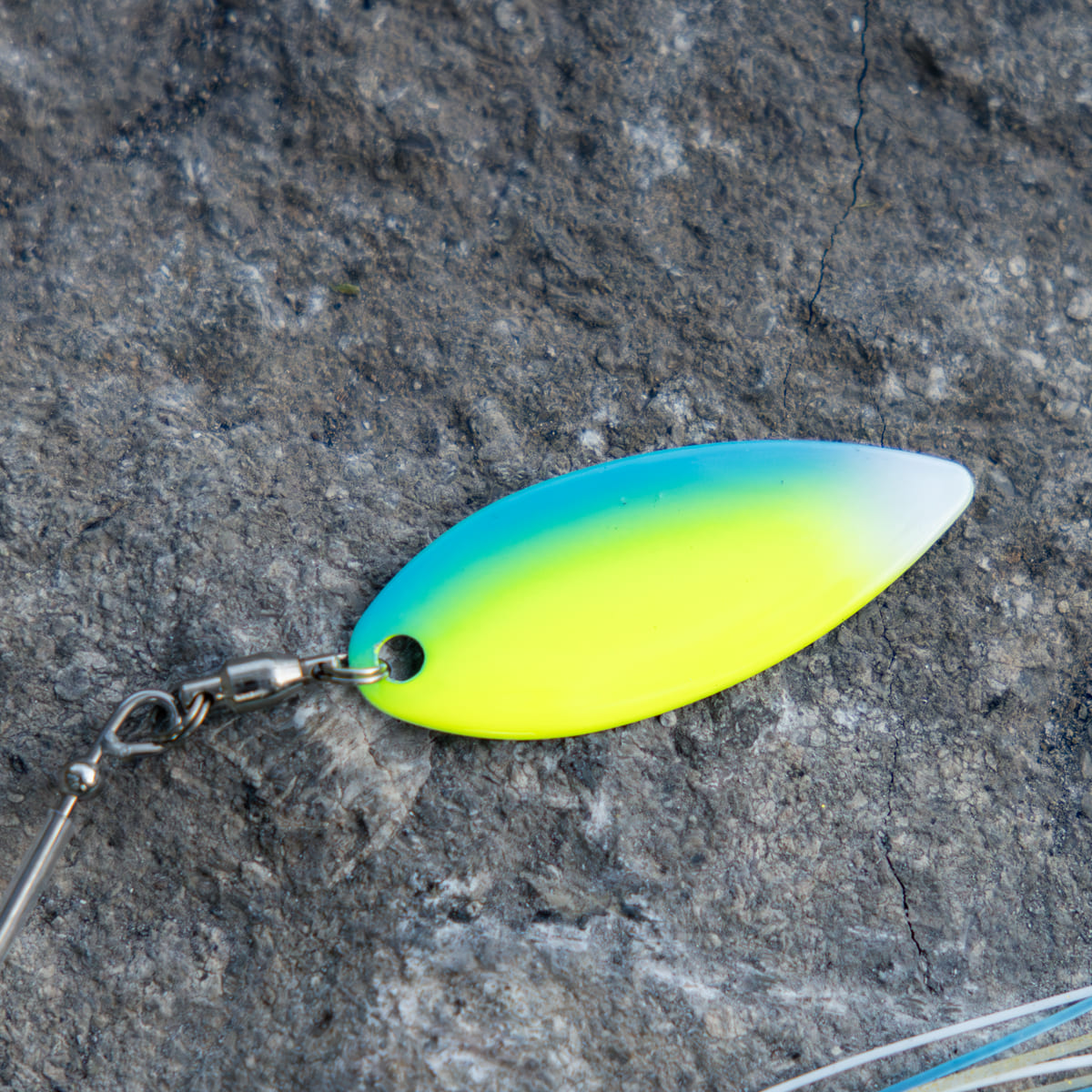Dr. Bait Jr. 14g