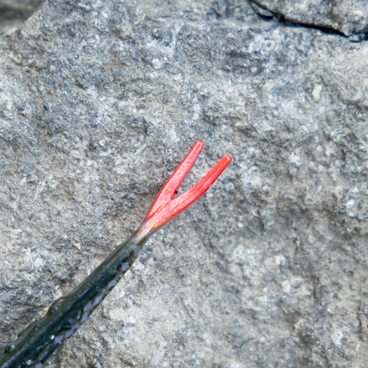 Strike Series Forky 13cm