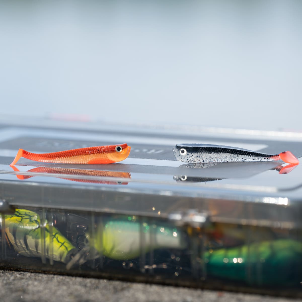 Urban Sense Paddle Tail 5pcs 6cm