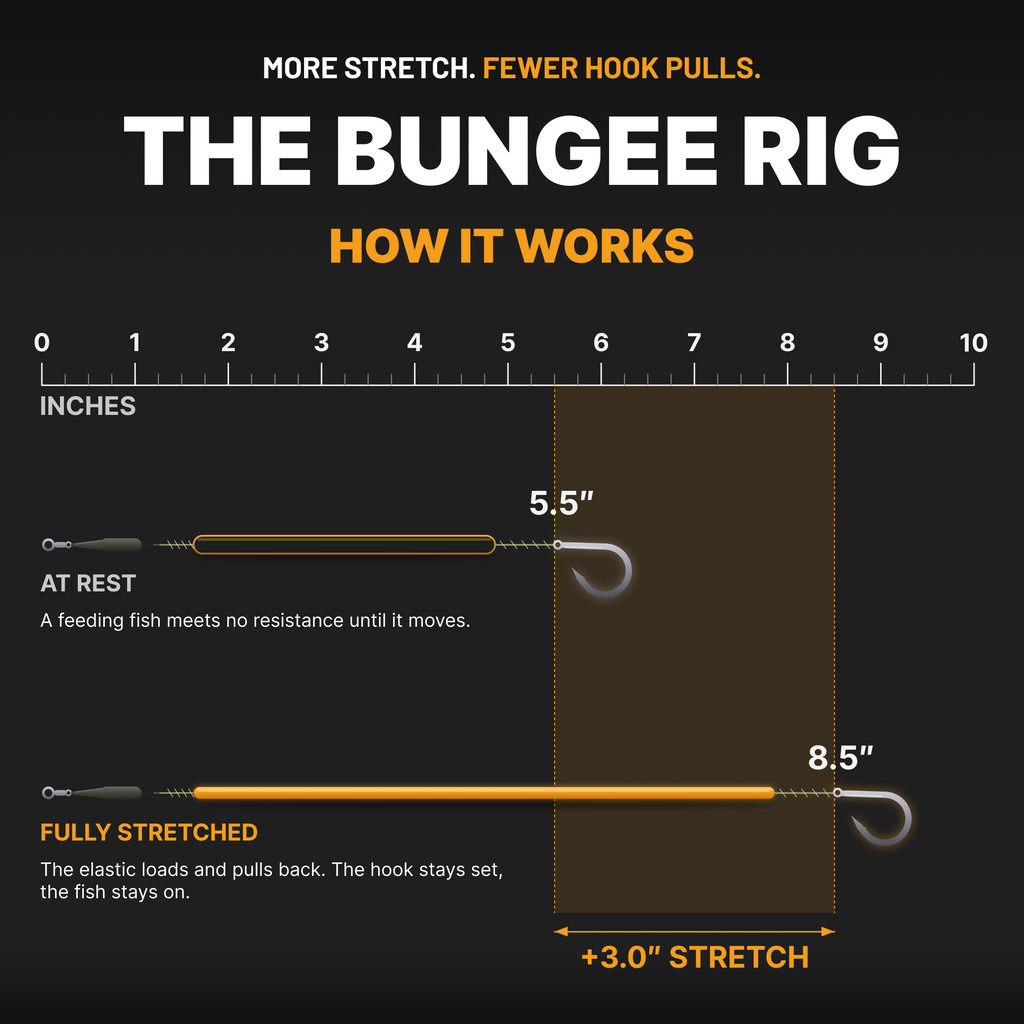 Bungee Multi Rig