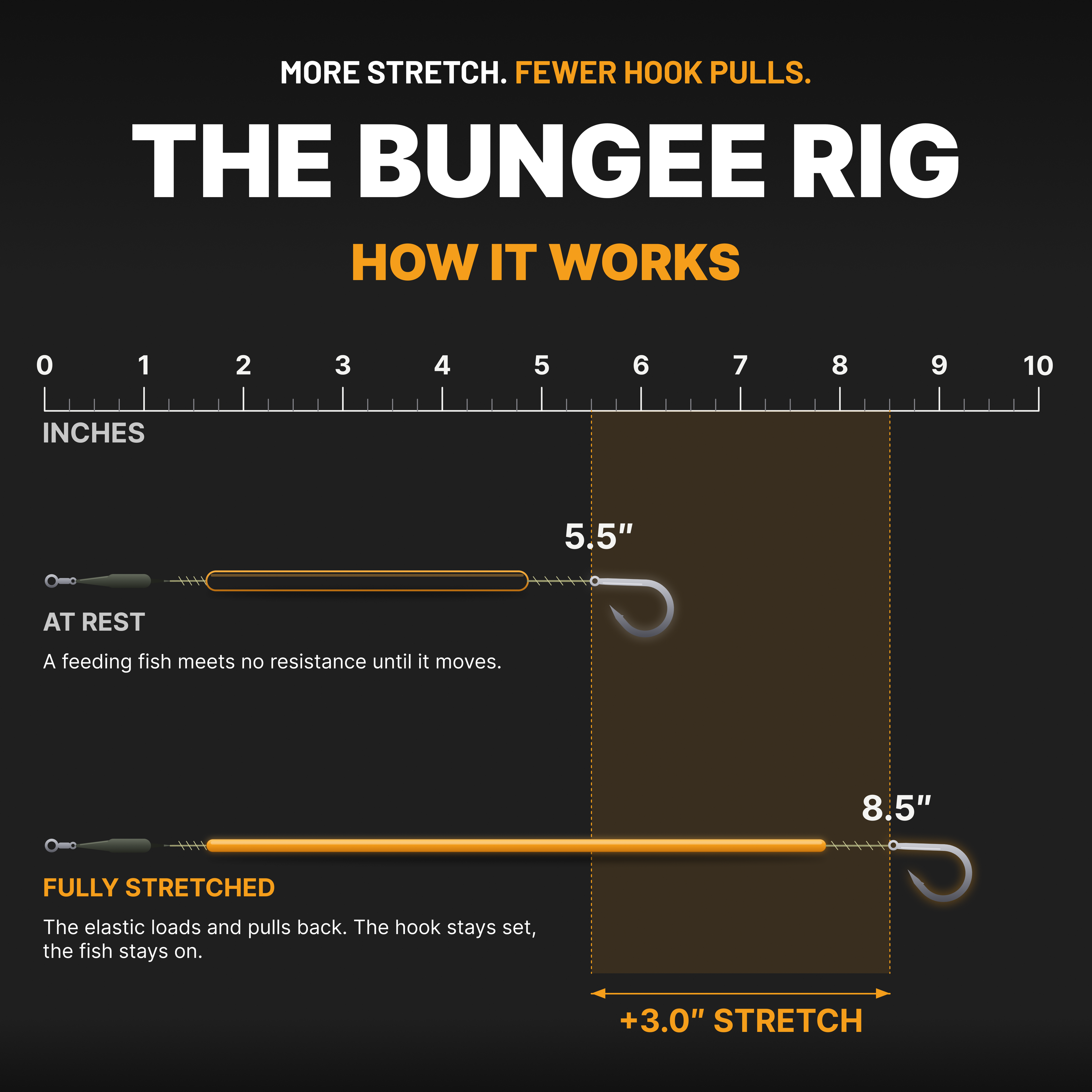 Bungee Multi Rig